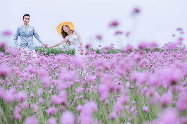 花海案例