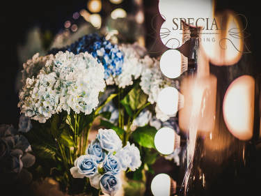specialwedding非常婚典撞色案例
