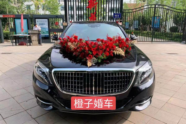 奔驰S级+奥迪A6L车队