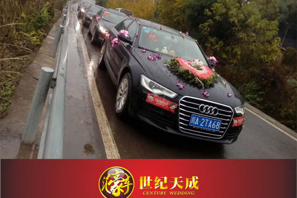 奥迪A6L+大众帕萨特车队