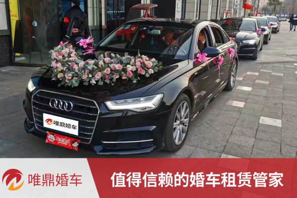 奥迪A6L+奥迪A6L车队