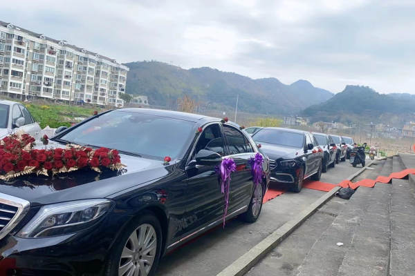 奔驰S级+奔驰E级车队