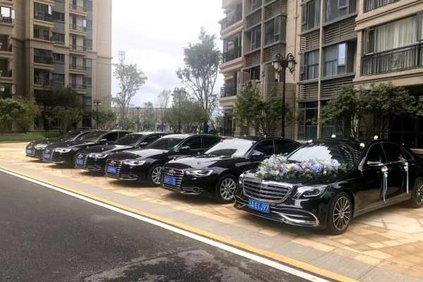 奔驰S级+奥迪A6L车队