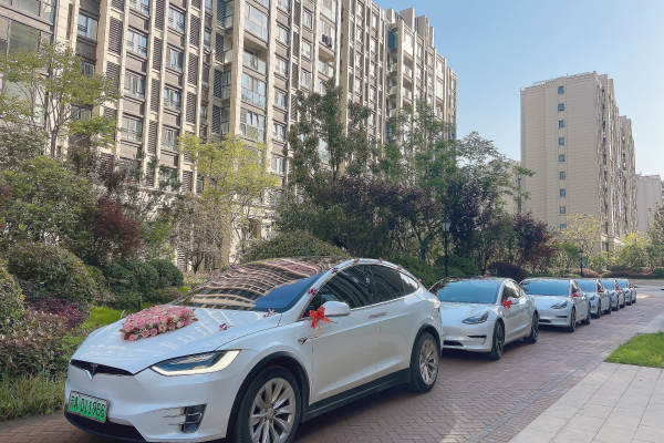 特斯拉MODELX+特斯拉MODEL车队