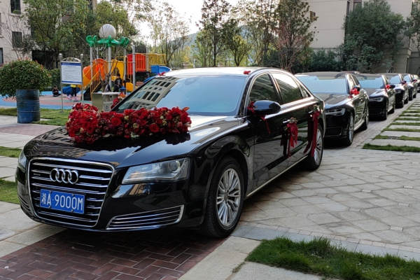 奥迪A8L+5辆奥迪A6L车队