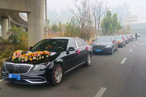 奔驰S级+5 辆奥迪A6L车队