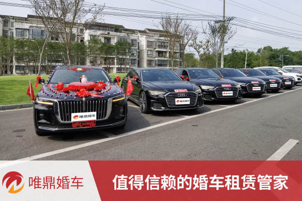 红旗H9+奥迪A6L车队