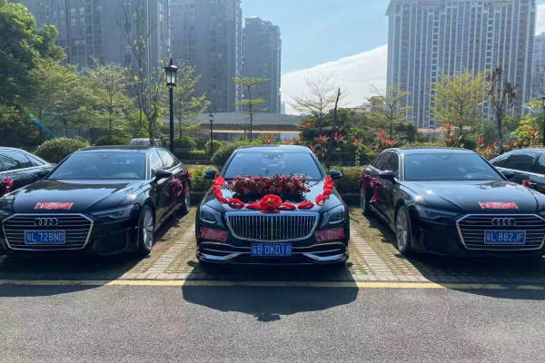 奔驰迈巴赫+奥迪A6L车队