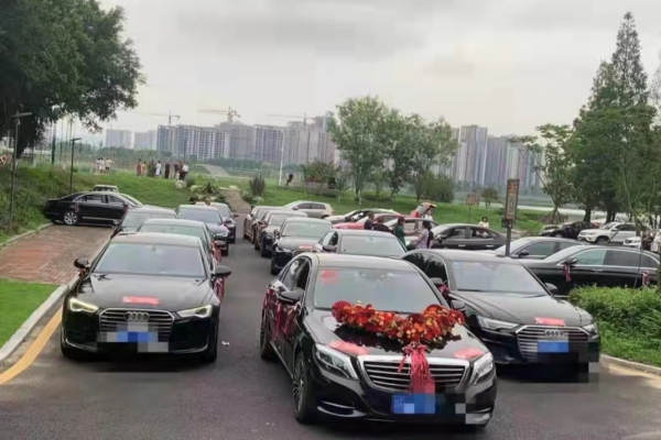 奔驰S级+5辆奥迪A6L车队