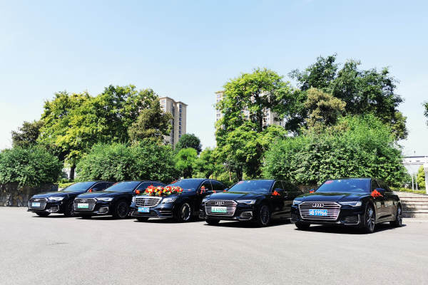 奔驰S级+5辆奥迪A6L车队