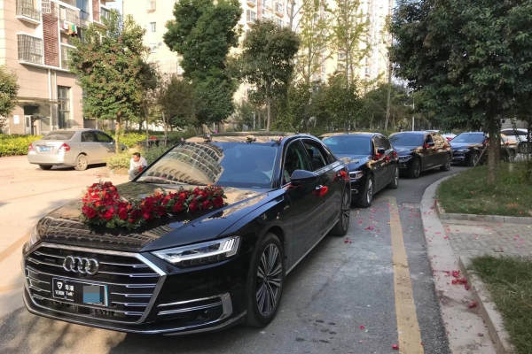 奥迪A6L+奥迪A6L车队