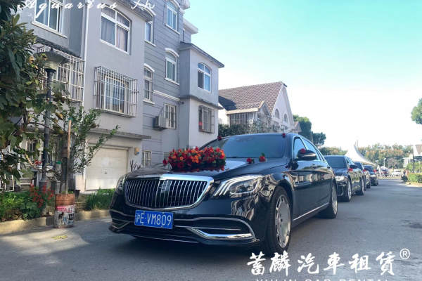 奔驰S级+奥迪A6L车队