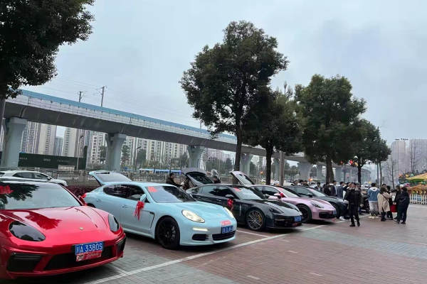 保时捷帕拉梅拉+6辆保时捷帕拉梅拉车队