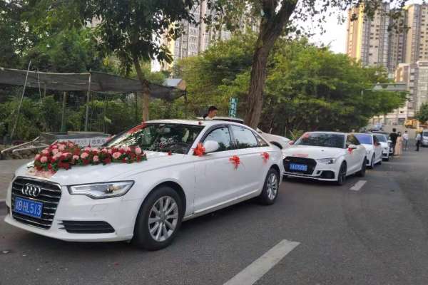 奥迪A6L+奥迪A3车队