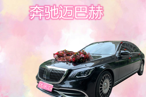 奔驰S级车队
