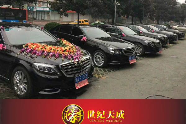 奔驰S级+奔驰E级车队