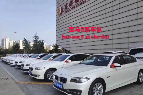 保时捷帕拉梅拉+宝马5系车队