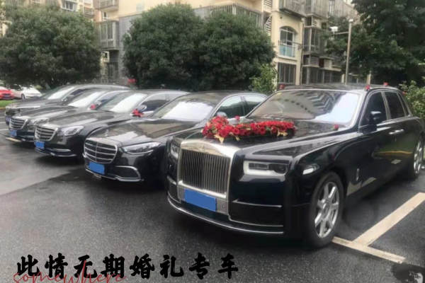 劳斯莱斯古思特+奔驰S级车队