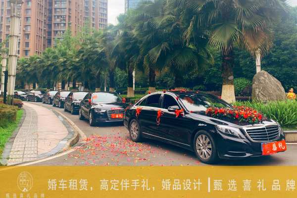 奔驰S级车队