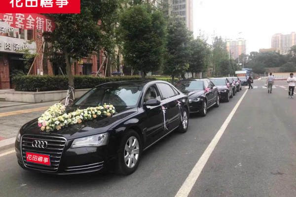 奥迪A8+奥迪A6L车队