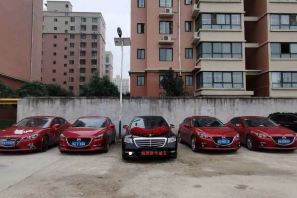 迈巴赫+昂克赛拉车队