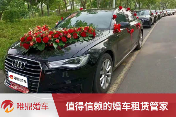 奥迪A6L+奥迪A6L车队