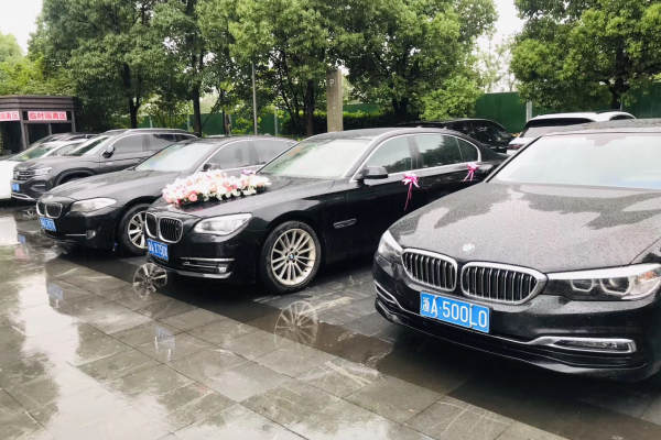 奔驰S级+宝马5系车队