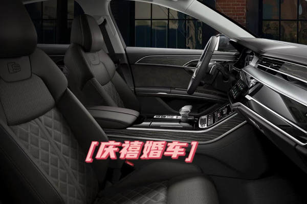奥迪A8+奥迪A6L车队