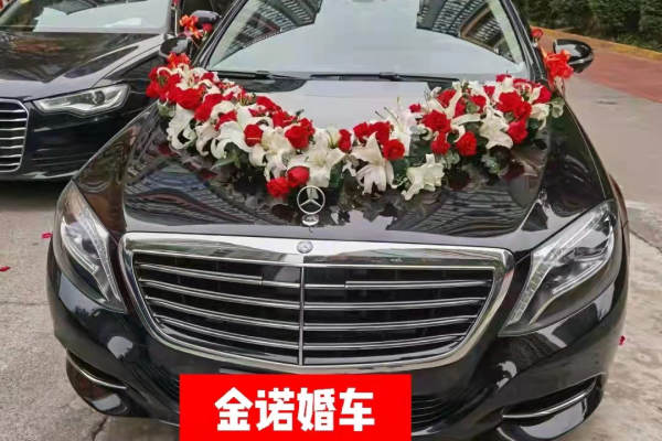奔驰S级+5 辆昂克赛拉车队