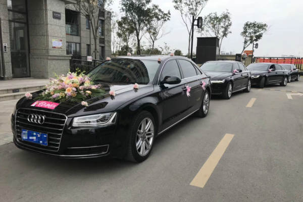 奥迪A8+奥迪A6L车队