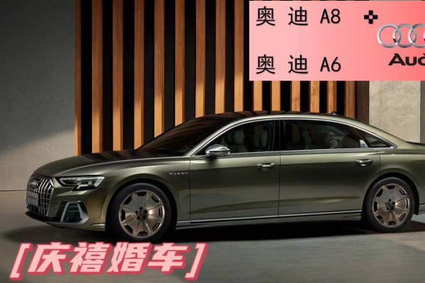 奥迪A8+奥迪A6L车队