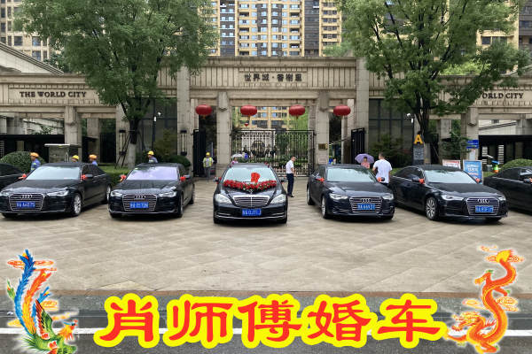 奔驰S级+奥迪A6L车队