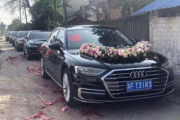 奥迪A6L+奥迪A6L车队