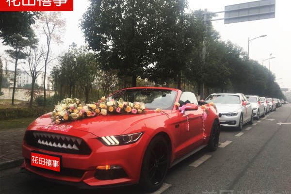 福特Mustang敞篷+宝马3系车队