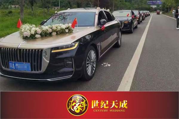 红旗H9+5辆红旗H5车队