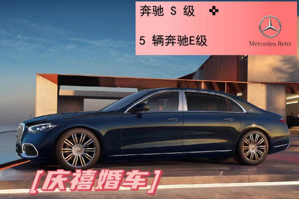 奔驰S级+奔驰E级车队
