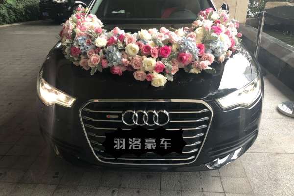 奥迪A6L+奥迪A6L车队