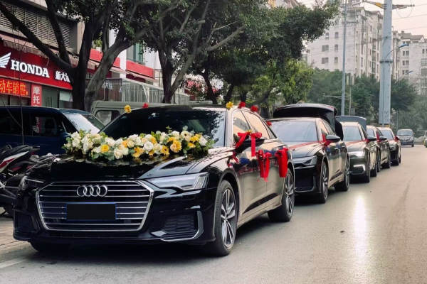 奥迪A6L+奥迪A6L车队