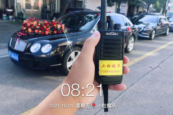 宾利飞驰+奔驰S级车队