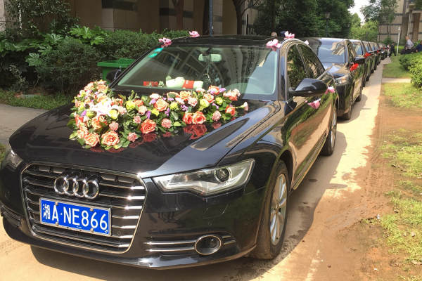 奥迪A6L+奥迪A6L车队