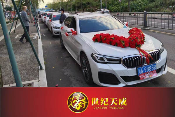 宝马5系+5辆宝马3系车队