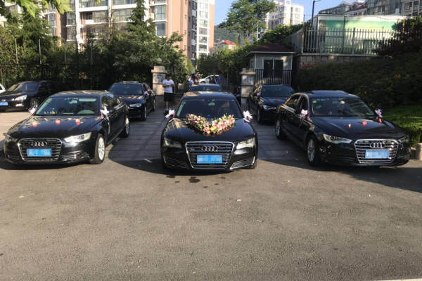 奥迪A8+奥迪A6L车队