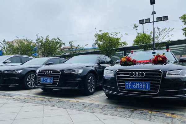 奥迪A8+奥迪A6L车队