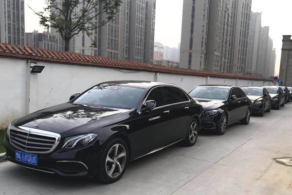 奔驰S级+奔驰E级车队