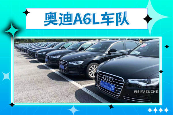 奥迪A6L+奥迪A6L车队