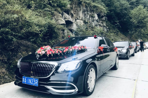奔驰S级+奔驰E级车队