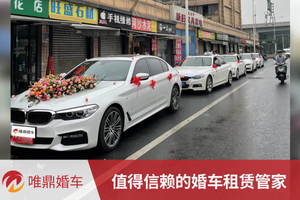 宝马5系+宝马/奥迪宝马3系/奥迪A4L车队