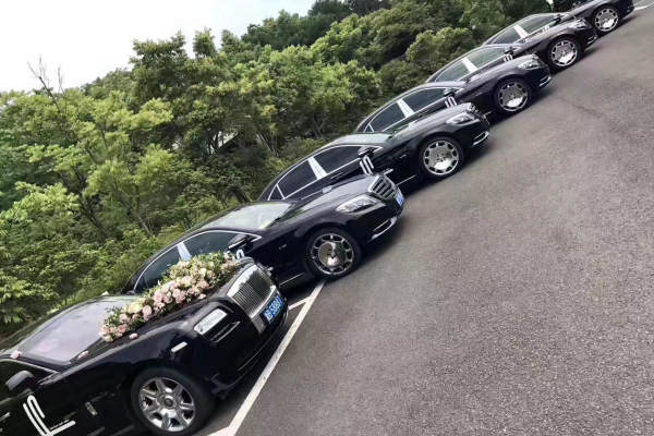 劳斯莱斯古思特+奔驰S级车队