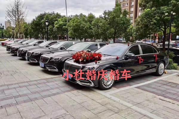 奔驰迈巴赫+奔驰S级车队