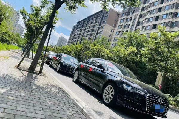 奥迪A6L+奥迪A6L车队